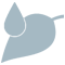 葉濡れ